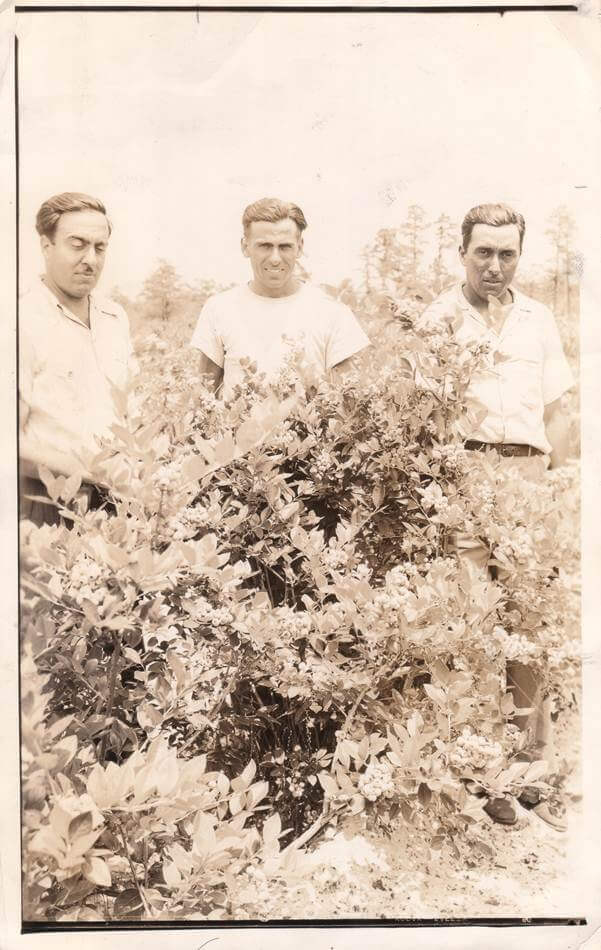 Anthony, Duke, and Bill