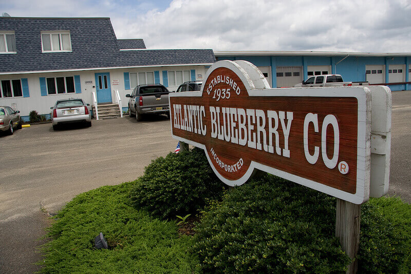 Current building on Weymouth Road
