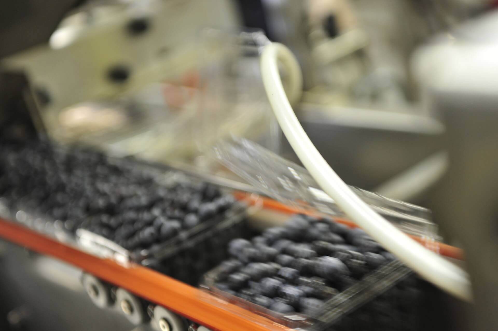 Traceability - 2D Barcode Labeling System