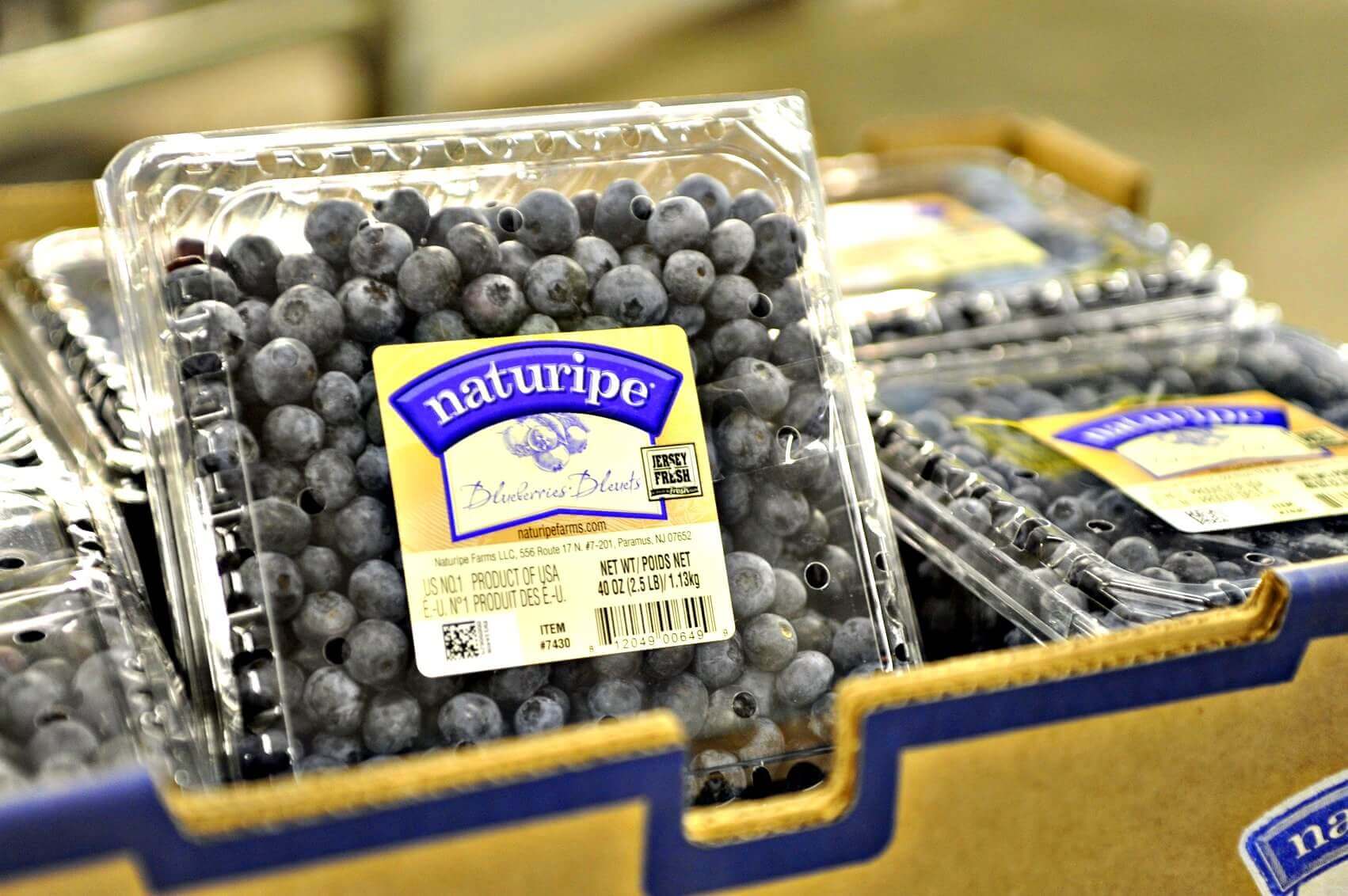 Fresh Picked Blueberries - Naturipe Brand