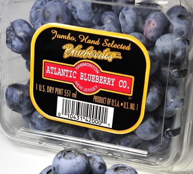 Hand-Selected Premium Blueberries - Atlantic Blueberry Co.